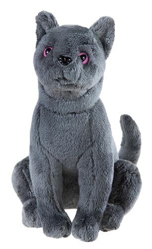 Schule der Magischen Tiere Kater Karajan GRS klein von Schule der Magischen Tiere