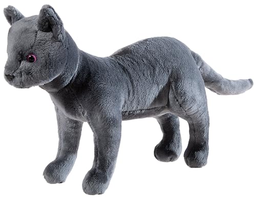 Schule der Magischen Tiere Katze GRS/PET Karajan von Schule der Magischen Tiere