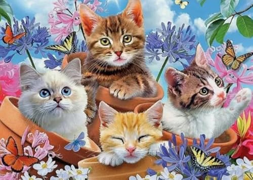1000 Stück - Animal Cat Posters - Pädagogisches Spielzeug Für Kinder - Familie Erwachsene Stressabbau Spiele - Elderly Gedächtnis-Kognitions-Spiele - Px354Qz von Schwagebo