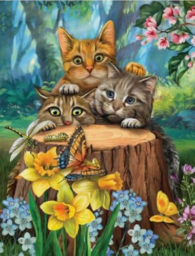 1000 Stück - Animal Cat Posters - Pädagogisches Spielzeug Für Kinder - Familie Erwachsene Stressabbau Spiele - Elderly Gedächtnis-Kognitions-Spiele - Px355Qz 1000 Stück - Animal Cat Posters - Pädagogisches Spielzeug Für Kinder - Familie Erwachsene Stressabbau Spiele - Elderly Gedächtnis-Kognitions-Spiele - Px355Qz von Schwagebo