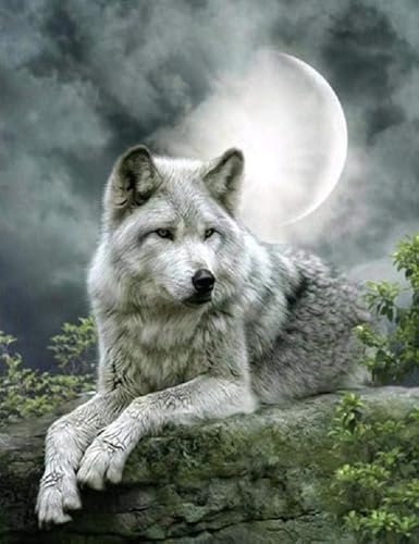 1000 Stück - Animal Wolfs Posters - Pädagogisches Spielzeug Für Kinder - Familien Spiele Zur Stressreduzierung - Erwachsene Puzzles Herausforderung Spiel - Px422Qz von Schwagebo