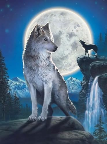 1000 Stück - Animal Wolfs Posters - Pädagogisches Spielzeug Für Kinder - Familien Spiele Zur Stressreduzierung - Erwachsene Puzzles Herausforderung Spiel - Px423Qz von Schwagebo