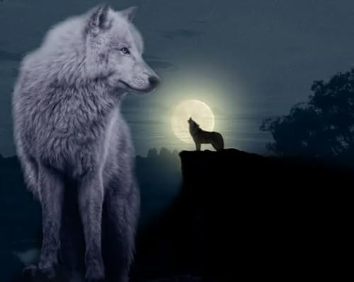 1000 Stück - Animal Wolfs Posters - Pädagogisches Spielzeug Für Kinder - Familien Spiele Zur Stressreduzierung - Erwachsene Puzzles Herausforderung Spiel - Px426Qz von Schwagebo