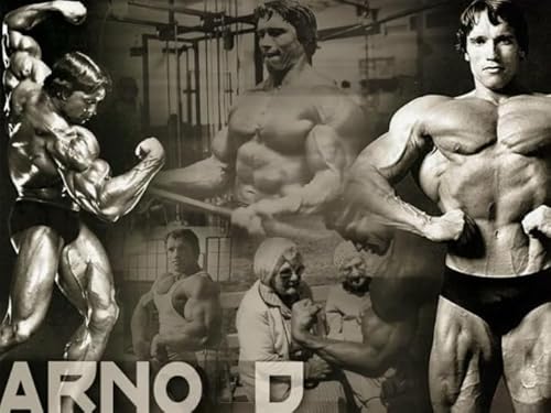 1000 Stück - Black Art White Puzzle - Schwarzeneggers Fitness Posters - Memory-Spiels Für Adults - Spielzeug Zum Stressabbau Für Die Ganze Familie Gifts - Sk322Zp von Schwagebo