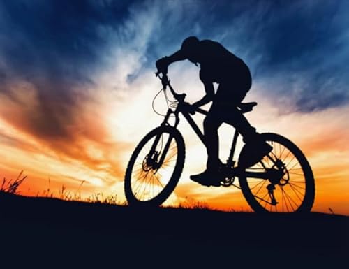 1000 Teile,Landscapes Cyclings Plakats,Fun Kunst Puzzle,Personalisiertes Puzzle-Spielzeug Für Erwachsene,Spiele Zum Stressabbau In Der Familie Ja487Zp von Schwagebo