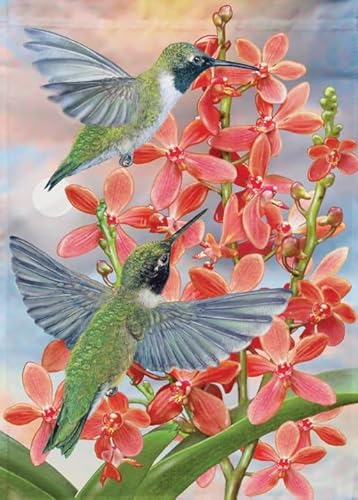 1000 Teile - Hummingbirds Plakats - Lernspielzeug Für Kinder - Spiele Zum Stressabbau In Der Familie - Erwachsene Puzzles Challenge Spiel Ja141Zp von Schwagebo