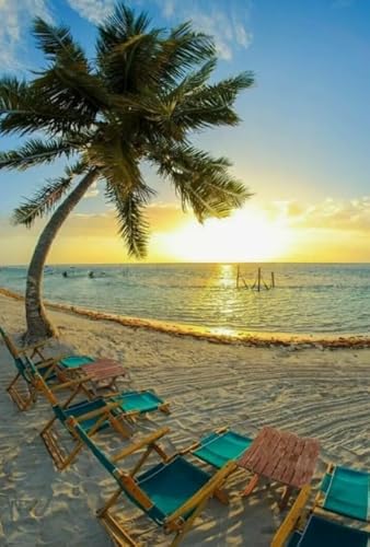 1000 Teile Puzzle - Beach Scenery Plakat Bild - Lernspielzeug Für Kinder - Spiele Zum Stressabbau In Der Familie - Erwachsene Puzzles Challenge Spiel Ja372Zp 1000 Teile Puzzle - Beach Scenery Plakat Bild - Lernspielzeug Für Kinder - Spiele Zum Stressabbau In Der Familie - Erwachsene Puzzles Challenge Spiel Ja372Zp von Schwagebo