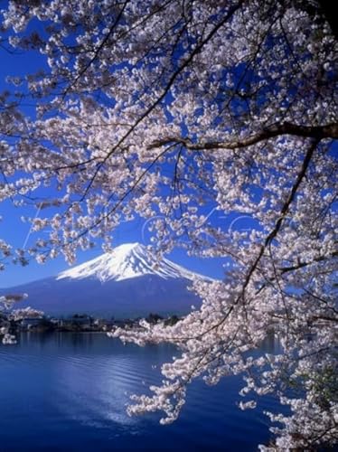 1000 Teile Puzzles - Japan Fujis Landscapes Plakate - Familien Spiele Zur Stressreduzierung - Erwachsene Herausforderung Spiel - Wand Kunst Dekoration Yp175Zk von Schwagebo