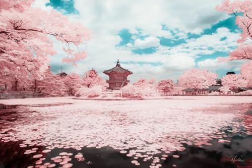 1000 Teile Puzzles - Japan Fujis Landscapes Plakate - Familien Spiele Zur Stressreduzierung - Erwachsene Herausforderung Spiel - Wand Kunst Dekoration Yp178Zk von Schwagebo