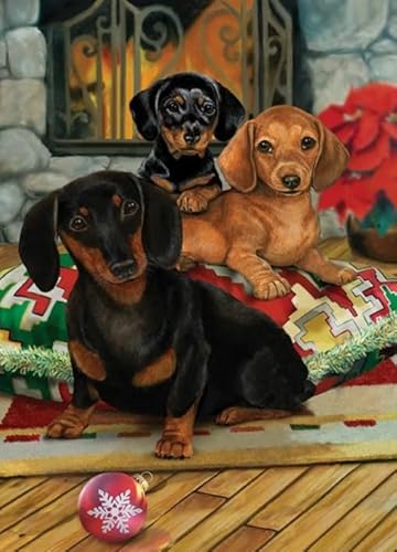 Animal Dachshunds Dogs Posters - Spiele Zur Stres Sreduzierung Für Die Ganze Familie - Puzzle-Herausfürderungs Spiel Für Erwachsene - 1000 Stück Puzzle - Sk285Zp von Schwagebo