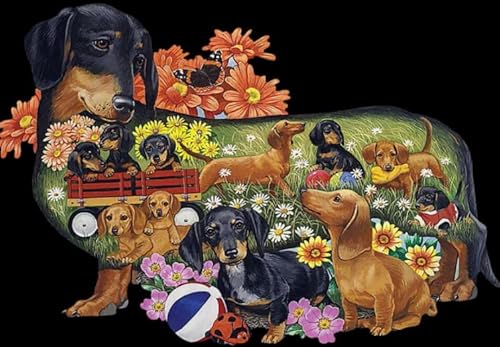 Animal Dachshunds Dogs Posters - Spiele Zur Stres Sreduzierung Für Die Ganze Familie - Puzzle-Herausfürderungs Spiel Für Erwachsene - 1000 Stück Puzzle - Sk287Zp von Schwagebo