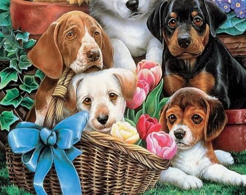 Animal Dachshunds Dogs Posters - Spiele Zur Stres Sreduzierung Für Die Ganze Familie - Puzzle-Herausfürderungs Spiel Für Erwachsene - 1000 Stück Puzzle - Sk288Zp von Schwagebo