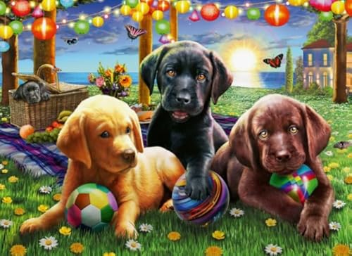 Animal Dachshunds Dogs Posters - Spiele Zur Stres Sreduzierung Für Die Ganze Familie - Puzzle-Herausfürderungs Spiel Für Erwachsene - 1000 Stück Puzzle - Sk289Zp von Schwagebo