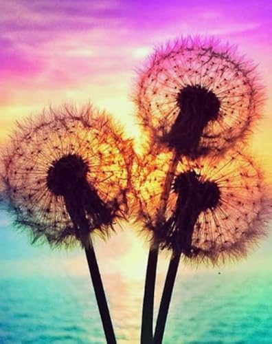 Colourful Unregelmäßiges Puzzle - Dandelions Posters - Personalisiertes Puzzle-Spielzeug Für Erwachsene - Spielzeug Zur Stressreduzierung Für Die Familie Gifts - Puzzles 1000 Stück - Sk206Zp von Schwagebo
