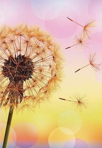 Colourful Unregelmäßiges Puzzle - Dandelions Posters - Personalisiertes Puzzle-Spielzeug Für Erwachsene - Spielzeug Zur Stressreduzierung Für Die Familie Gifts - Puzzles 1000 Stück - Sk207Zp von Schwagebo