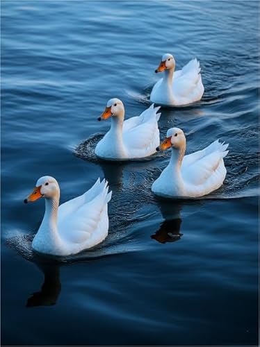 Ducks Animal Posters Oil Painting, Bunt, 1000 Teile Puzzles, Personalisiertes Puzzle Spielzeug Für Erwachsene, Für Familienspaß Und Herausfürderndes Spielzeug Art Bilder Kw589Zw von Schwagebo