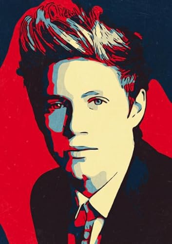 Irregular Art Puzzles - Singers Nialls Posters - Puzzle 1000 Stück - Für Adults Lernspielzeug Für Die Ganze Familie - Sk503Zp von Schwagebo