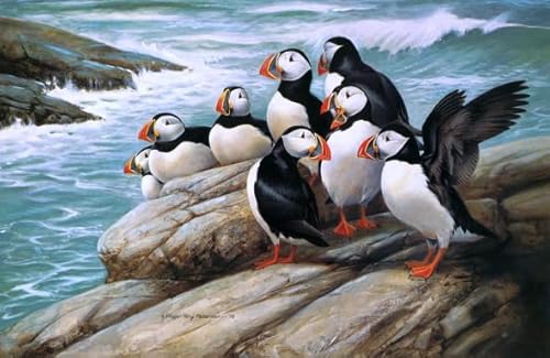 Puzzle 1000 Stück - Birds - Colourful Abstract Jigsaw - Fun Spiel Spielzeug Educational Spiel for Erwachsene Posters TR378KS von Schwagebo