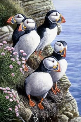 Puzzle 1000 Stück - Birds - Colourful Abstract Jigsaw - Fun Spiel Spielzeug Educational Spiel for Erwachsene Posters TR380KS von Schwagebo