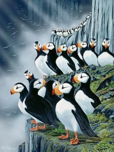 Puzzle 1000 Stück - Birds - Colourful Abstract Jigsaw - Fun Spiel Spielzeug Educational Spiel for Erwachsene Posters TR383KS von Schwagebo