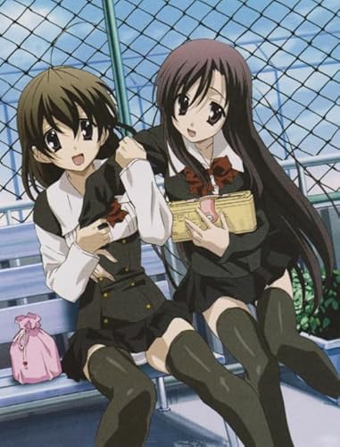 Puzzle 1000 Stück - Japanese Animes Schools Dayss Aposter - Buntes Puzzles - Kinderspielzeug Dekompressionsspiel Xs610Zp von Schwagebo