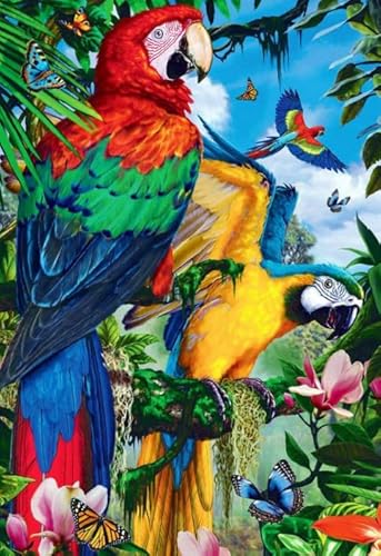 Puzzle 1000 Teile,Parrotss Kunst Plakat Bild,Ältere Menschen Gedächtnis Kognition Spiele,Wand Kunst Dekoration,Spiele Zum Stressabbau In Der Familie Ja106Zp von Schwagebo