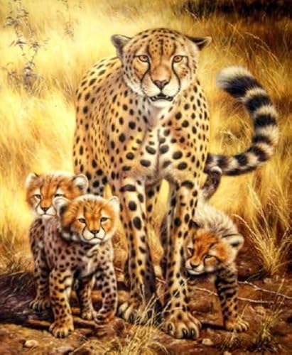 Puzzle 1000 Teile - Animal Leopards Africas - Wand Kunst Dekoration - Children's Personalisiertes Puzzle-Spielzeug Für Erwachsene - Familie Spaß Herausforderung Spielzeug Ja349Zp von Schwagebo