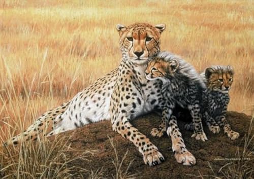Puzzle 1000 Teile - Animal Leopards Africas - Wand Kunst Dekoration - Children's Personalisiertes Puzzle-Spielzeug Für Erwachsene - Familie Spaß Herausforderung Spielzeug Ja351Zp von Schwagebo