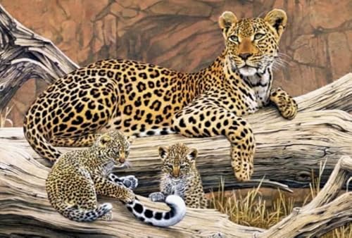 Puzzle 1000 Teile - Animal Leopards Africas - Wand Kunst Dekoration - Children's Personalisiertes Puzzle-Spielzeug Für Erwachsene - Familie Spaß Herausforderung Spielzeug Ja352Zp von Schwagebo