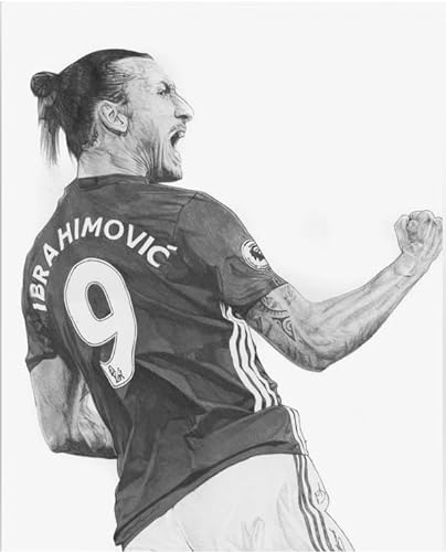 Schwagebo 1000 Stück Holzpuzzle Fußball-Star Ibrahimovic Poster für Familie Stressabbau Lernspielzeug GS157LA von Schwagebo