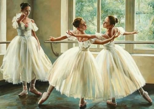 Unregelmäßiges Puzzle - Ballet Classic Art Oil Paintings - Abstrakte Kunst Puzzles - Fun Gedächtnis- Und Wahrnehmungs Spiele Gifts - Puzzle 1000 Stück - Sk240Zp Unregelmäßiges Puzzle - Ballet Classic Art Oil Paintings - Abstrakte Kunst Puzzles - Fun Gedächtnis- Und Wahrnehmungs Spiele Gifts - Puzzle 1000 Stück - Sk240Zp von Schwagebo