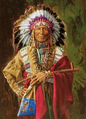 Unregelmäßiges Puzzle - Nativess India Posters - Lernspielzeug Für Erwachsene Puzzle - Für Memory-Spiels Für Adults Gifts - Puzzles 1000 Stück - Sk226Zp von Schwagebo