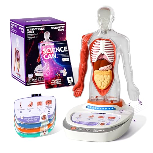 Science Can Anatomiemodell für Kinder, Menschliche Körper Set, Interaktive Spielzeug - Englisch, 22cm Realistischer Organen & Skelett Set, Experimentierkasten für Kinder ab 6 Jahren(Deutsche Fassung) Science Can Anatomiemodell für Kinder, Menschliche Körper Set, Interaktive Spielzeug - Englisch, 22cm Realistischer Organen & Skelett Set, Experimentierkasten für Kinder ab 6 Jahren(Deutsche Fassung) von Science Can