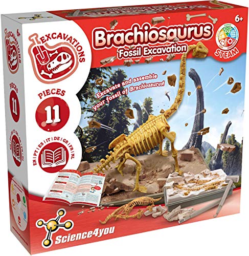 Science4you - Brachiosaurus Dino Ausgrabungsset - Archeologie Set Fur Kinder mit 11 Teilen, Graben Sie Ihr Dinosaurier Spielzeug - Ideale Experimentierkasten, Geschenk und Lernspiel für Kinder 6 Jahre von Science4you
