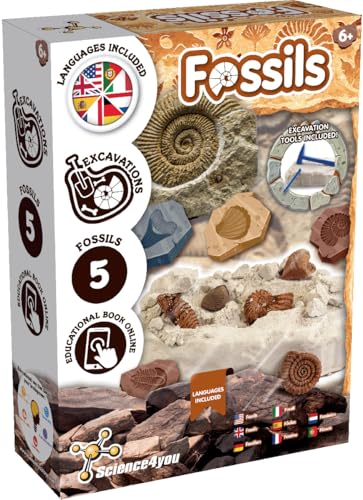 Science4you Fossilien Ausgrabungsset für Kinder – Paläontologie mit Diesem Ausgrabungsset, Entdecken Sie die Unglaublichen Fossilien, EIN Paläontologie-Geschenk für Mädchen und Jungen Alter 6 7 8 9+ Science4you Fossilien Ausgrabungsset für Kinder – Paläontologie mit Diesem Ausgrabungsset, Entdecken Sie die Unglaublichen Fossilien, EIN Paläontologie-Geschenk für Mädchen und Jungen Alter 6 7 8 9+ von Science4you