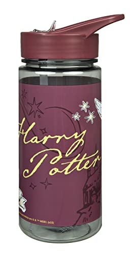 Scooli Trinkflasche Harry Potter - Trinkflasche für Kinder mit Motiv - Wasserflasche aus Kunststoff BPA frei - ca. 500ml Fassungsvermögen - integrierter Strohhalm - ideal für Kindergarten und Schule von Scooli