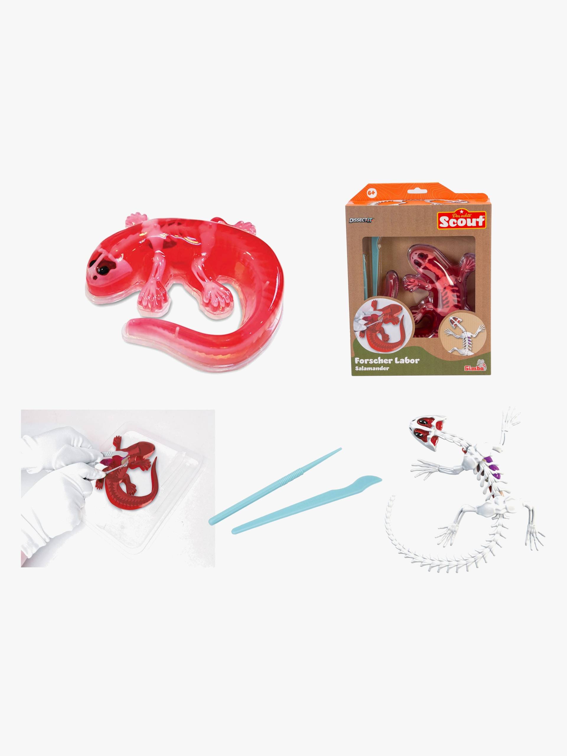 Scout Sezier-Set Salamander von Scout