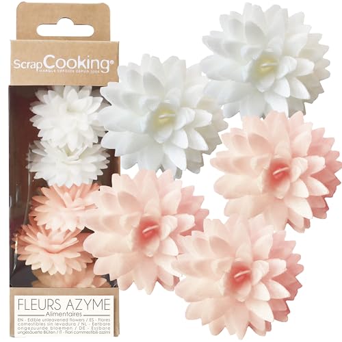 ScrapCooking – 5 Weiße & Pastellrosa Dahlien aus Esspapier – Essbare Blumen zur Tortendeko – Deko für Torten, Cupcakes, Gebäck – Geburtstag, Hochzeit – 2297 von ScrapCooking