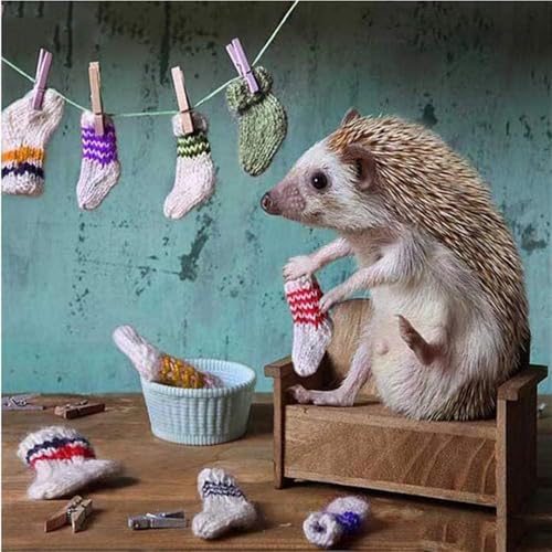 1000 Teile Puzzles für Erwachsene - Igel Waschen Socken Lustiges Puzzle, Suchen und Finden von Aktivitäten, Puzzle-Spielzeug für Kleinkinder und Kinder 1000 Teile Puzzles für Erwachsene - Igel Waschen Socken Lustiges Puzzle, Suchen und Finden von Aktivitäten, Puzzle-Spielzeug für Kleinkinder und Kinder von Scvgfdxzs
