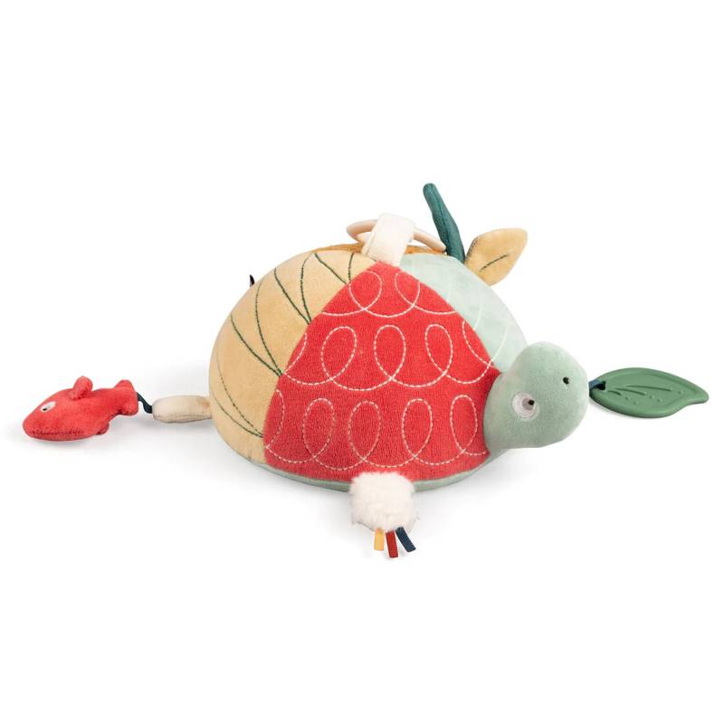 Sebra Turbo the Turtle Aktivitätsspielzeug, Multi, Babyspielzeug von Sebra