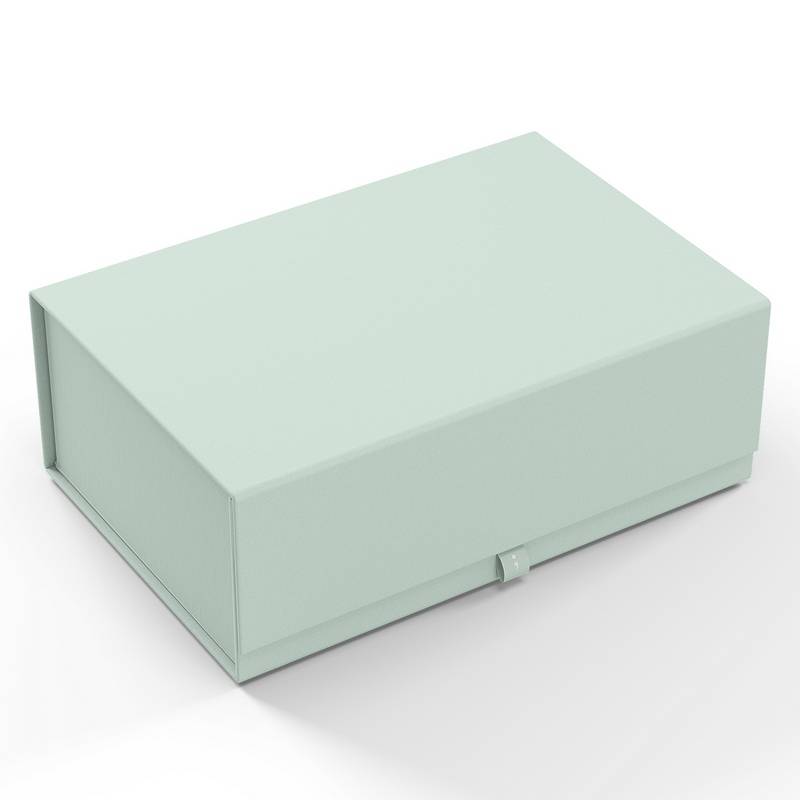Semikolon Aufbewahrungsbox Heritage Line 4Rooms L Moss von Semikolon