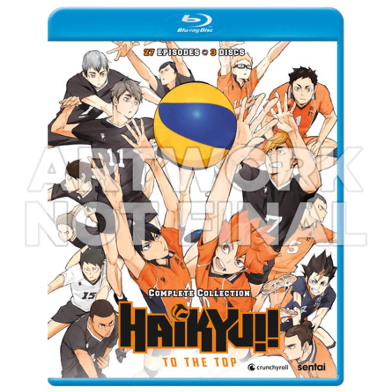 Haikyu!! To The Top: Complete Collection (US Import) von Sentai Filmworks