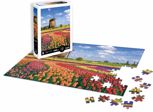 Puzzle 1000 Teile – Landschaft – Tulpenfelder – Holland von Sentosphere