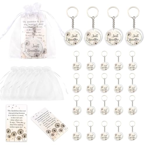 Serencatcher Inspirierende Pusteblumen-Gastgeschenke – 24 Sets Aquarell-Pusteblumen-Schlüsselanhänger, inspirierende Karten, Organza-Beutel, Mitarbeiter-Wertschätzung, Geschenke für Frauen, Kollegen Serencatcher Inspirierende Pusteblumen-Gastgeschenke – 24 Sets Aquarell-Pusteblumen-Schlüsselanhänger, inspirierende Karten, Organza-Beutel, Mitarbeiter-Wertschätzung, Geschenke für Frauen, Kollegen von Serencatcher