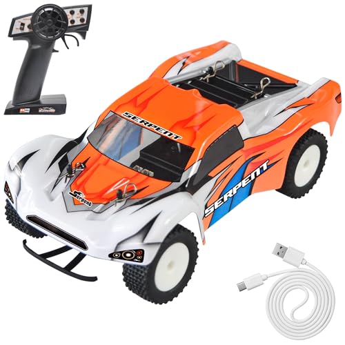 Serpent 1:24 Mini Spyder RC Auto mit Gyro, 1/24 Maßstab 2,4 GHz Off-Road RC Auto, All Terrain Off-Road Buggy RTR Hochleistung mit 1 Batterie 1 USB-Datenkabel von Serpent