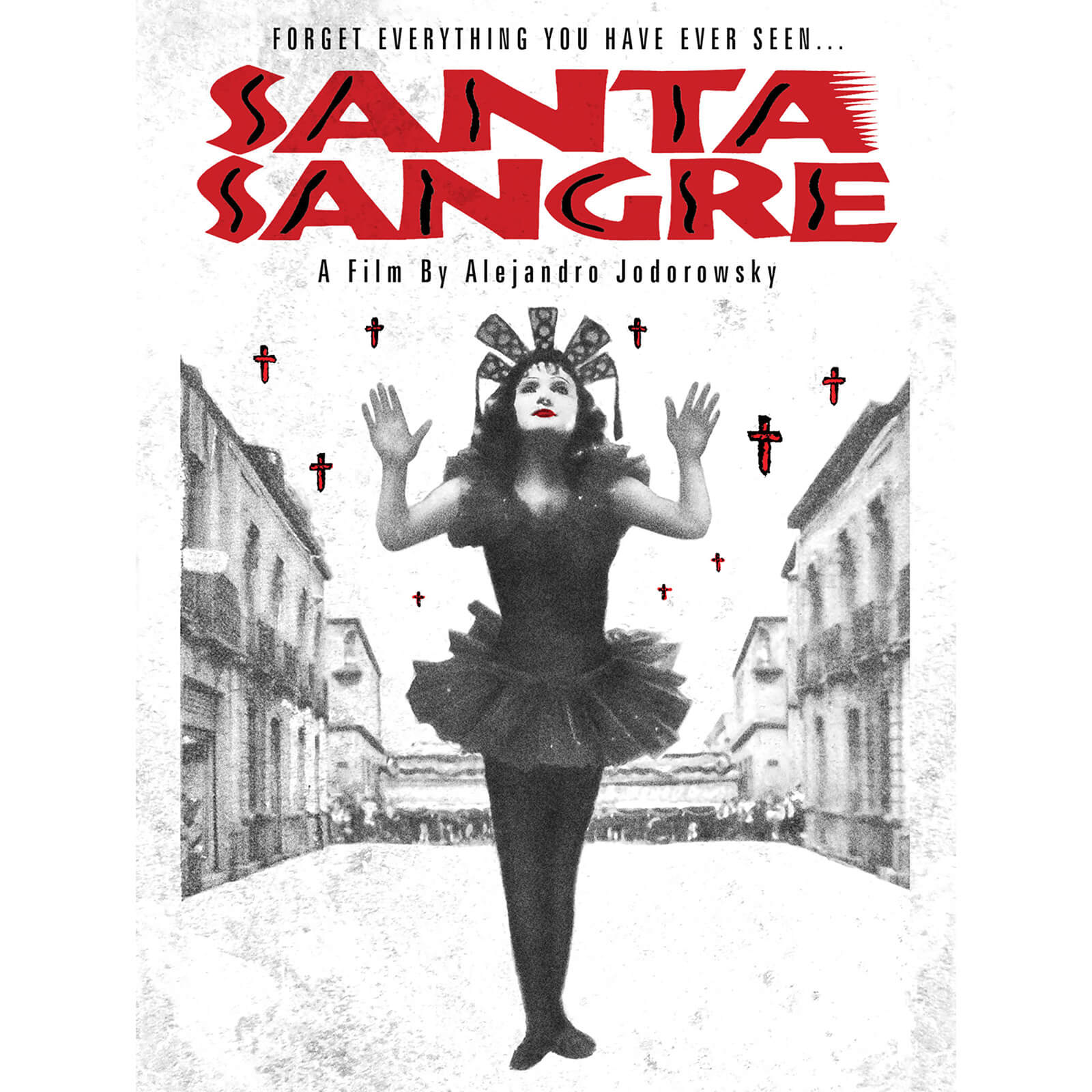 Santa Sangre (US Import) von Severin Films