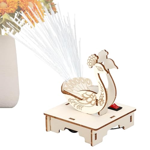 Shaersu Fiber Light Science Project, Light Craft Set für Kinder - Mädchen Crafting Project Glasfaserlampe - Develope Fine Motor Skality Circuit Experiment für Kinder im Alter von 7 bis 14 Jahren für Shaersu Fiber Light Science Project, Light Craft Set für Kinder - Mädchen Crafting Project Glasfaserlampe - Develope Fine Motor Skality Circuit Experiment für Kinder im Alter von 7 bis 14 Jahren für von Shaersu