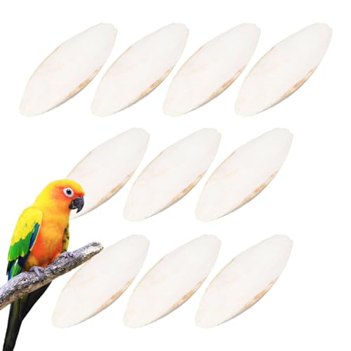10 Stück Groß Sepiaschalen, Sepiaschalen Für Schildkröten,Vogelschnabel Cuttlebone, Tintenfische Für Papageien,Tintenfischknochen Für Nymphensittiche, Sittiche, Wellensittiche, Finken 10 Stück Groß Sepiaschalen, Sepiaschalen Für Schildkröten,Vogelschnabel Cuttlebone, Tintenfische Für Papageien,Tintenfischknochen Für Nymphensittiche, Sittiche, Wellensittiche, Finken von Shannan