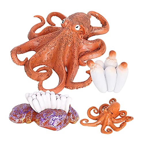 Generic Lebensechtes Octopus Lebenszyklus Wachstumsmodell Kind Frühpädagogisches Lehrspielzeug Generic Lebensechtes Octopus Lebenszyklus Wachstumsmodell Kind Frühpädagogisches Lehrspielzeug von Sharplace