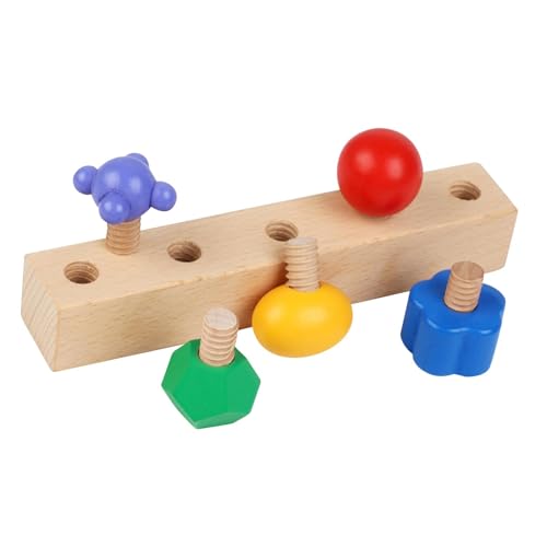 Sharplace 5 Stück Bausteine Muttern Schrauben Spielzeug Pädagogische Einsteckblöcke Schraubenanzugsschraube für Kinder Weihnachtsbedarf Neujahrsgeschenke von Sharplace